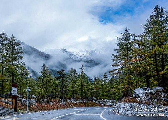 沪江开心词场